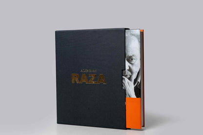 A LIFE IN ART: RAZA : ART ALIVE MASTER SERIES