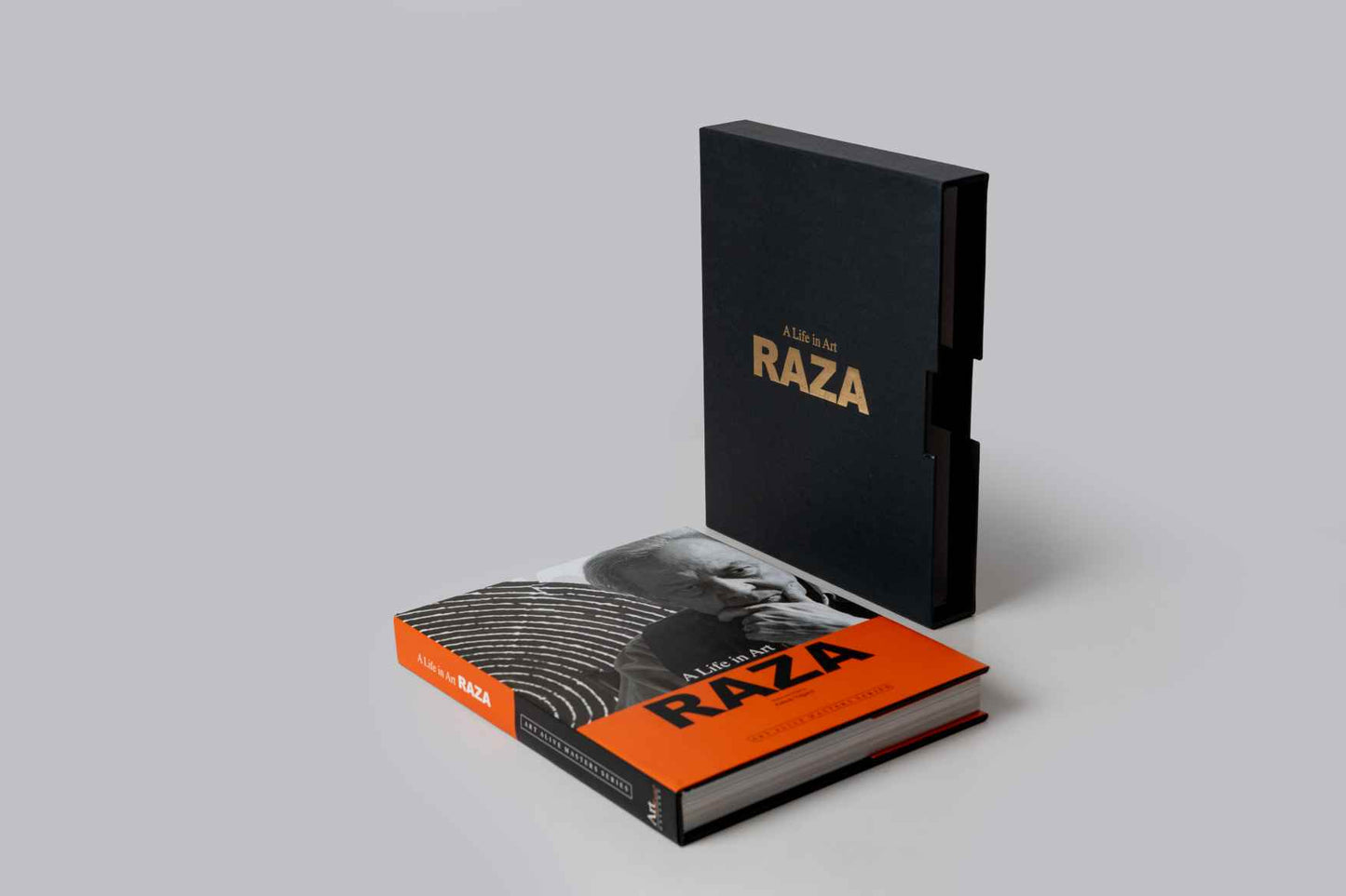 A LIFE IN ART: RAZA : ART ALIVE MASTER SERIES