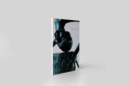 FREEHOLD : Sculptures by K S Radhakrishnan